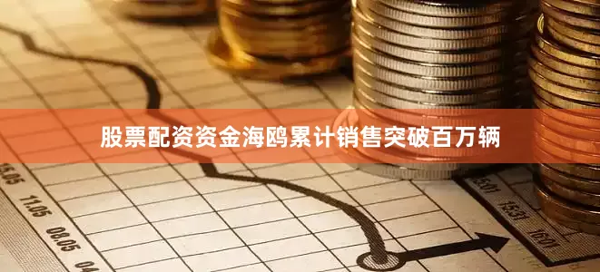 股票配资资金海鸥累计销售突破百万辆
