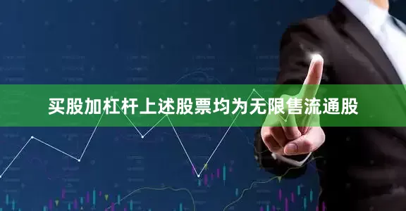 买股加杠杆上述股票均为无限售流通股