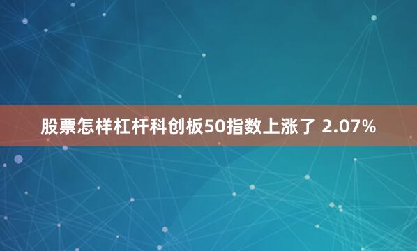 股票怎样杠杆科创板50指数上涨了 2.07%